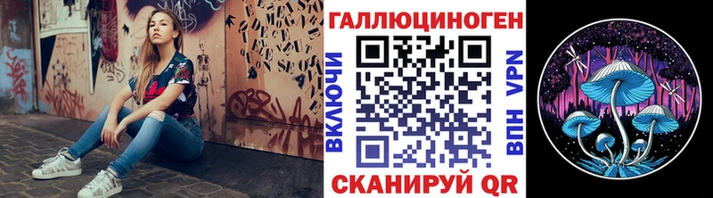 Псилоцибиновые грибы GOLDEN TEACHER  Купить  Лермонтов 